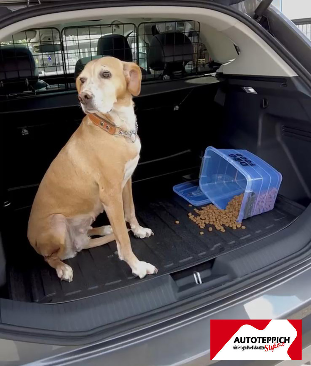 Hund Bella im Auto Der Hund Bella sitzt auf einer Kofferraumwanne von Autoteppich Stylers, auf der auch Hundefutter liegt.